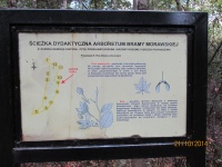 IMG_2773.jpg, 29kB